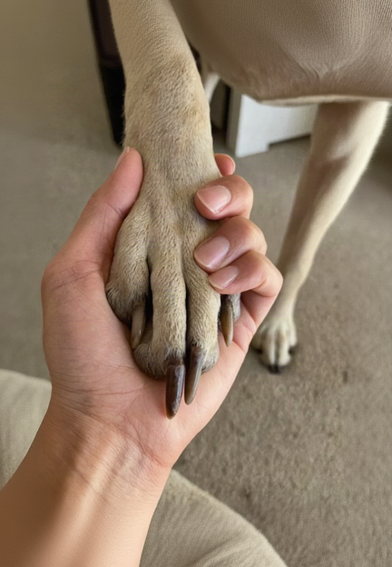 Hard-to-cut nails
