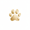 Patoune - Accueil
